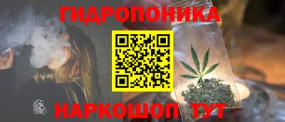 марихуана Краснознаменск