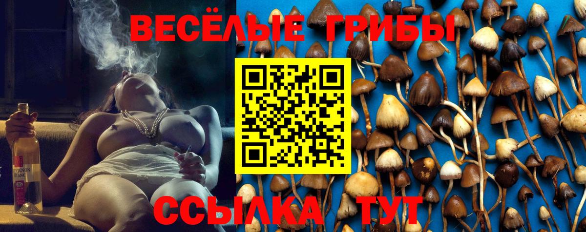 Галлюциногенные грибы прущие грибы  Галлюциногенные грибы мухоморы  Вход с VPN  Красноармейск 