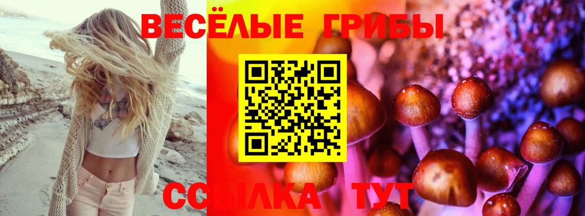Галлюциногенные грибы MAGIC MUSHROOMS Красноармейск